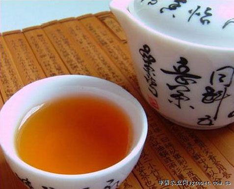 10年老茶.