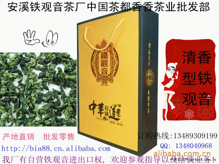 安溪铁观音茶