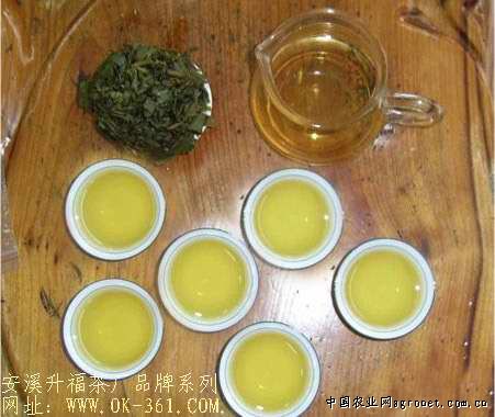 低、中、高档安溪铁观音