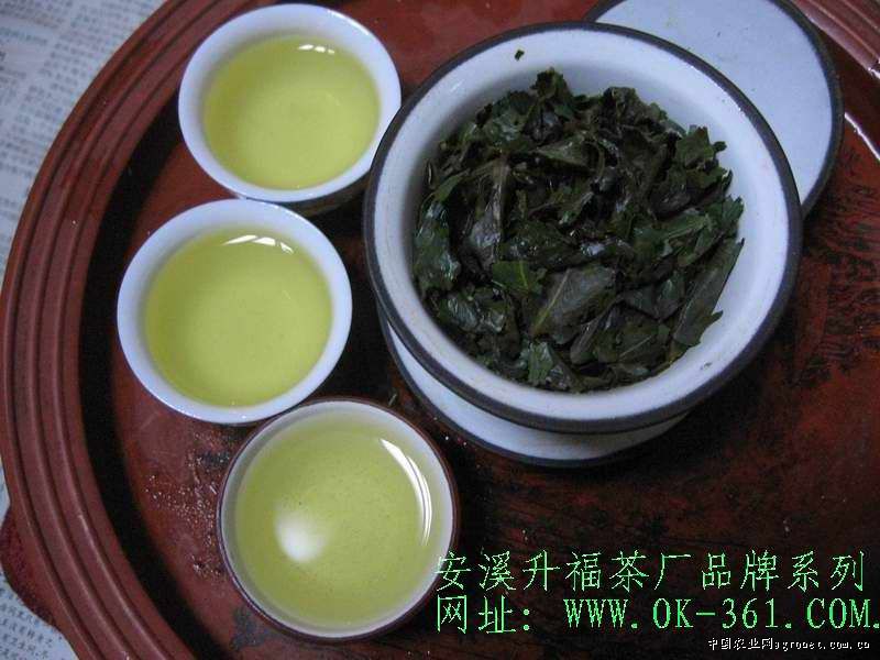 安溪铁观音