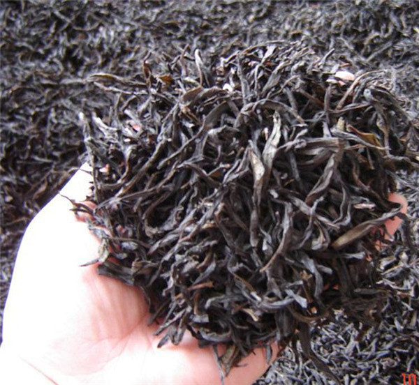 凤凰单枞茶