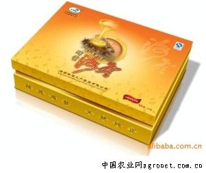供应260g蜂蜜海参