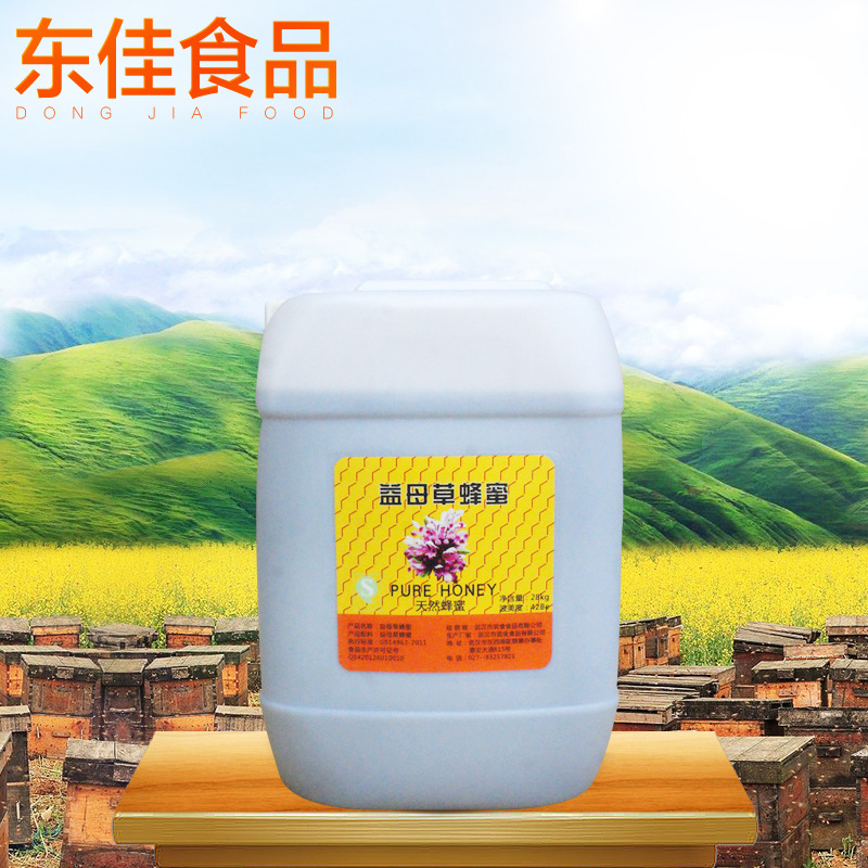 供应益母草蜂蜜  润肺蜂蜜  散装天然农家自产土蜂蜜批发