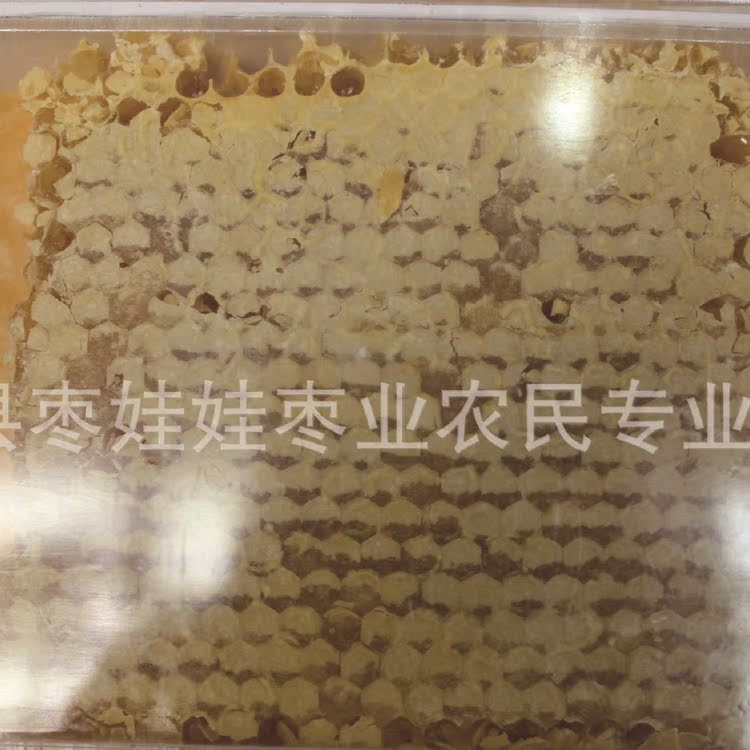 新疆天山特产黑蜂蜂巢蜜 农家自产封盖百花巢蜜产地货源现货批发