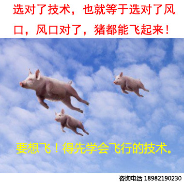 五味子蜂蜜,遥感五味子,桑椹五味子生产配方加工工艺专题