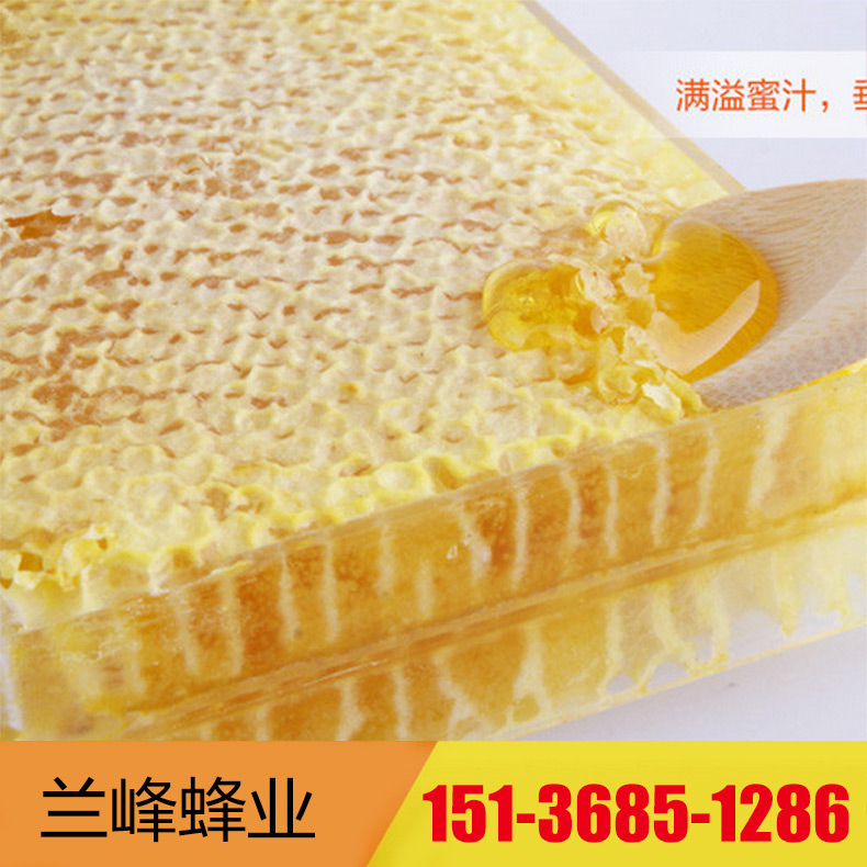 盒装500克新鲜蜂巢蜜 封盖成熟蜂巢蜜 天然土蜂巢蜜 自产自销