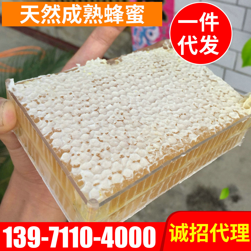 批发500荆条花蜂巢蜜 盒装原筑蜂巢蜜 蜂农自销自销格子蜂蜜