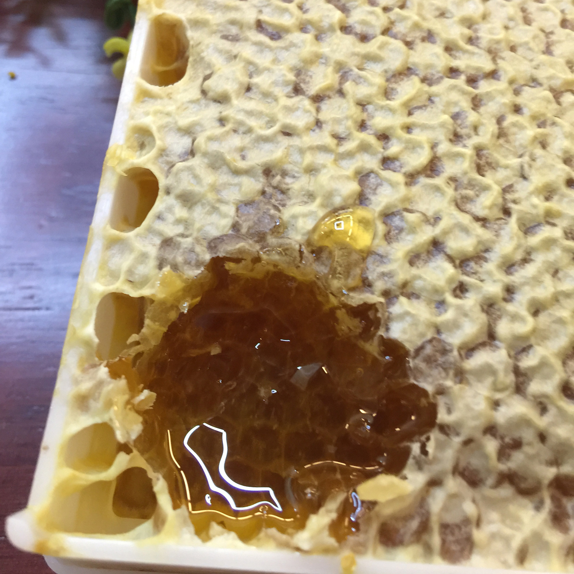 云南农家土特产 香格里拉原生态蜂蜜 蜂巢蜜 500克盒装巢蜜批发