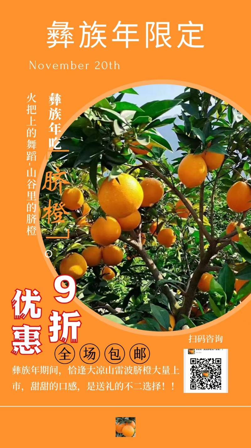 大凉山雷波脐橙