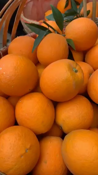 奉节脐橙