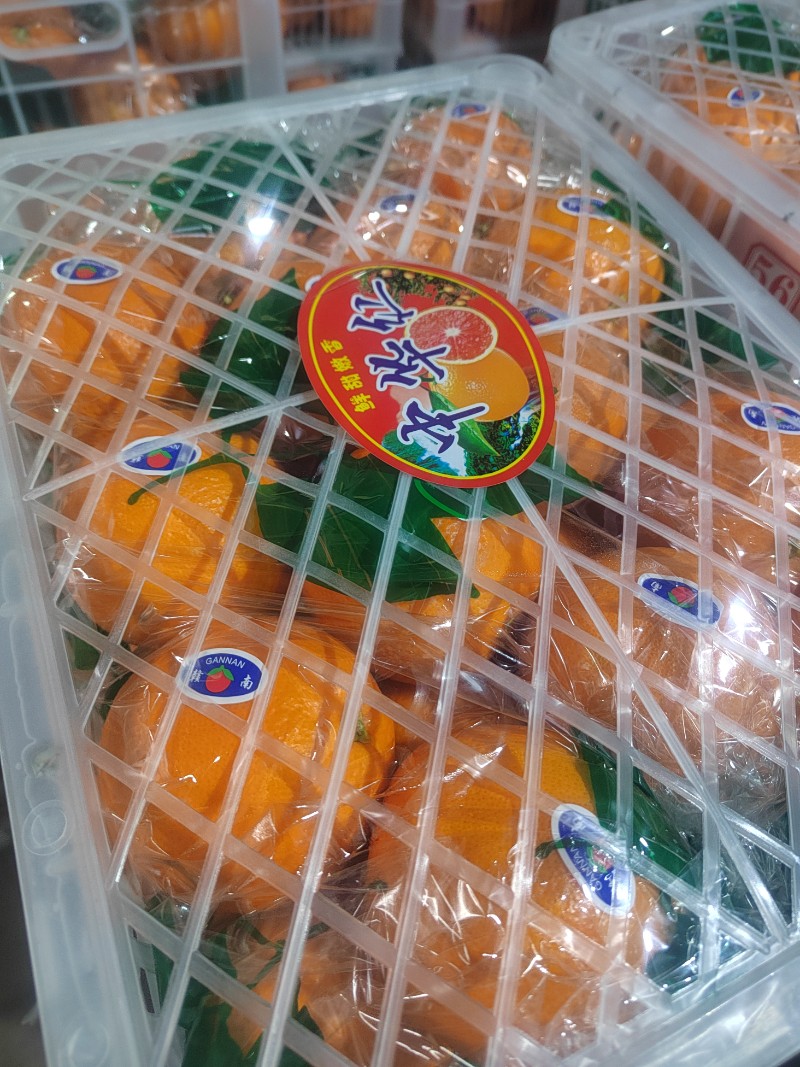 秭归脐橙，中华红，伦晚