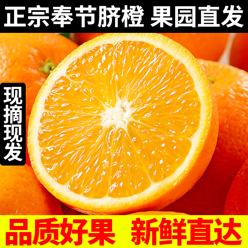 奉节脐橙