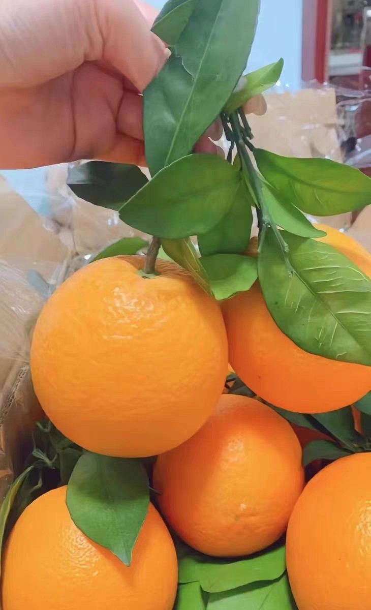 橙子赣州脐橙