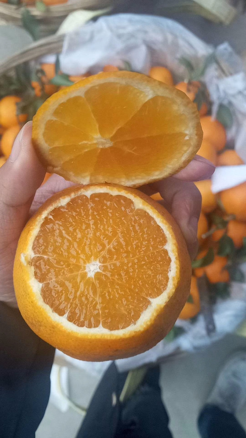 橙