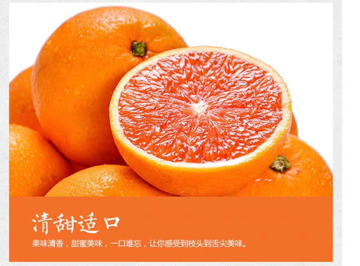 中华红肉脐橙