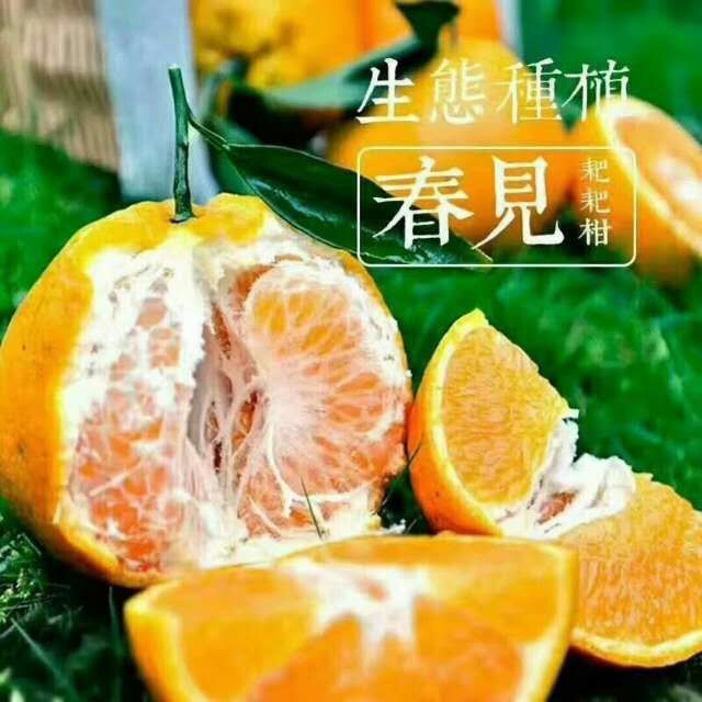 粑粑柑，不知火，爱媛38，