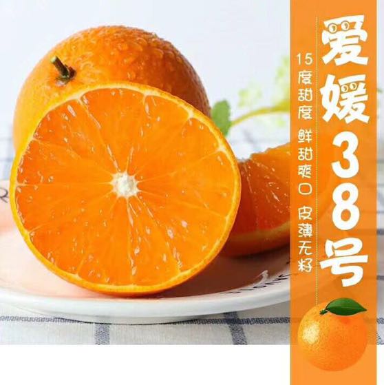 爱媛38果园直发电话微信20252025962