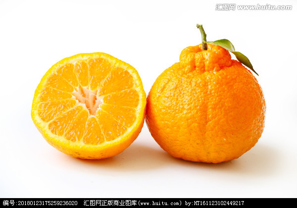 丑柑(不知火)