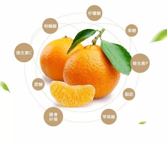 四川耙耙柑