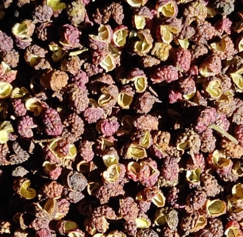 厂家货直供、最美金阳青花椒、转红椒
