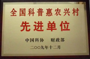 供应白天鹅