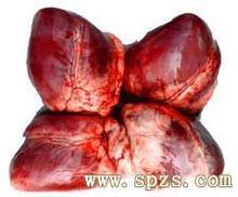供应进口冷冻猪心