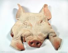 求购进口冷冻猪头