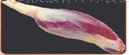 供应冷冻牛展牛鞭牛蹄等