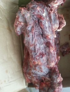 供应牛肉