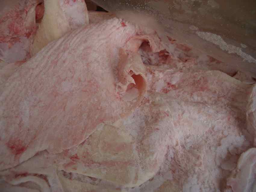 供应牛腩筋、牛柳、牛肋条