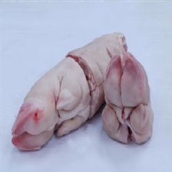 供应冷冻猪蹄