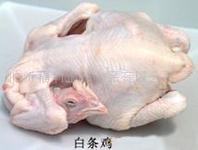 供应巴西童子鸡 三黄鸡 白条鸡