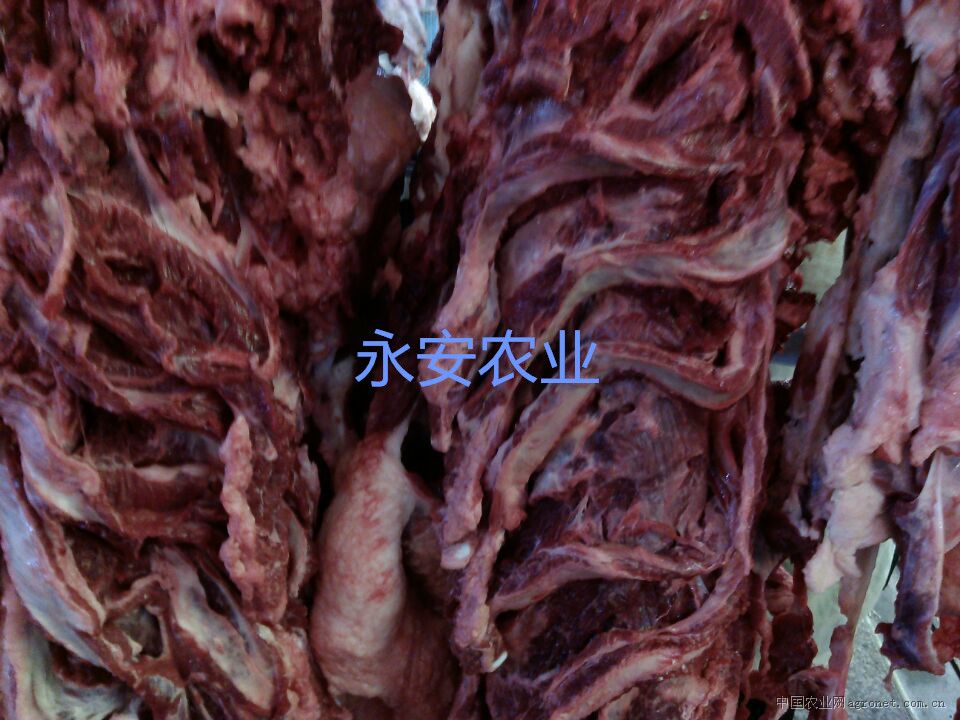 供应贵阳牛肉