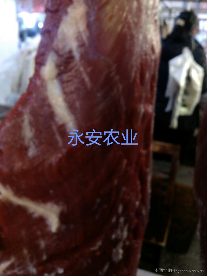 供应成都牛肉
