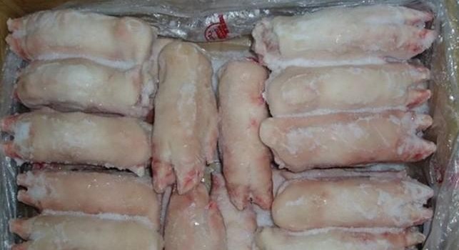 求购冷冻猪头肉，猪拱嘴，猪蹄