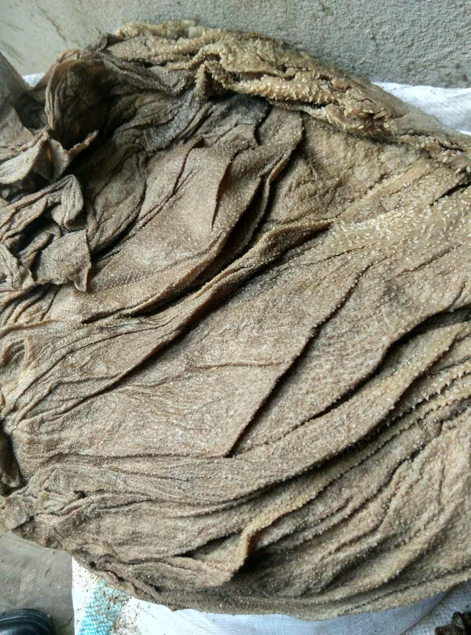 求购盐渍牛百叶 盐毛肚