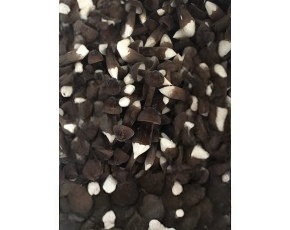 大量供应优质平菇