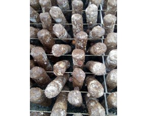 河北 遵化 提供烤干菇，提供烤干菇场