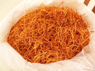 山东供应虫草北虫草