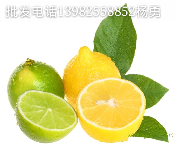 优质生态有机柠檬