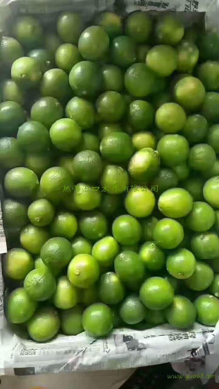 越南无籽青柠檬批发