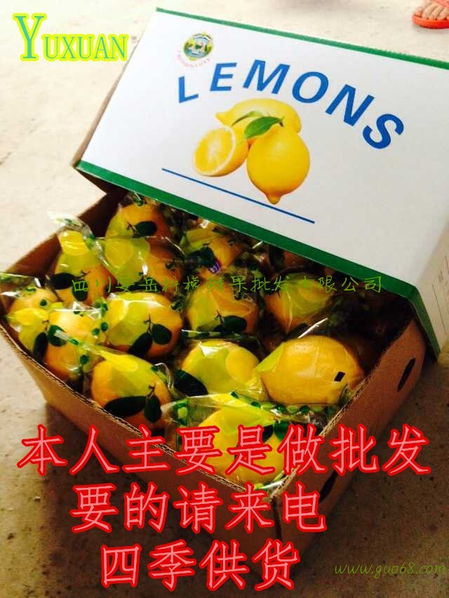 批发安岳新柠檬四季供货