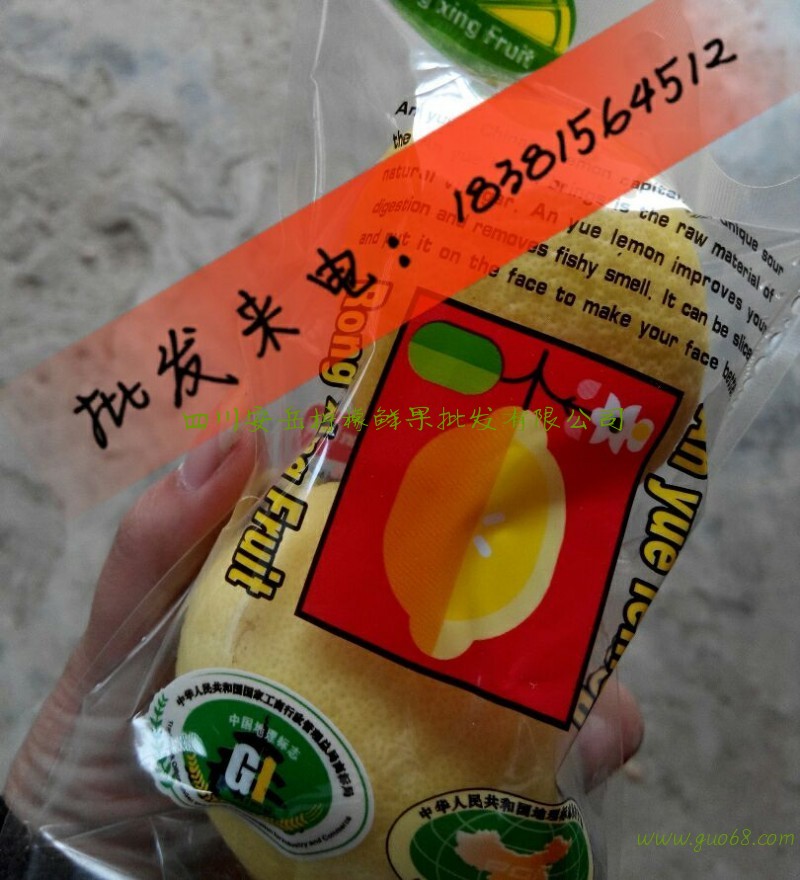 四川省安岳柠檬发批