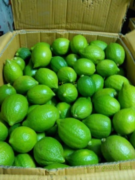 无籽柠檬批发
