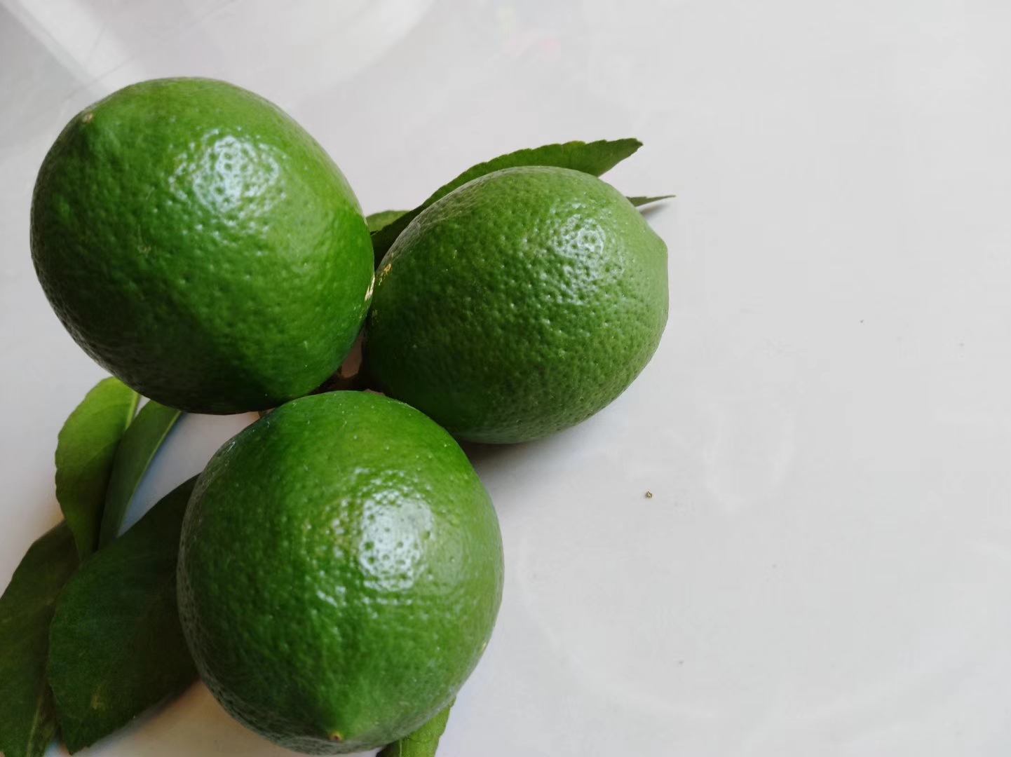 青柠檬