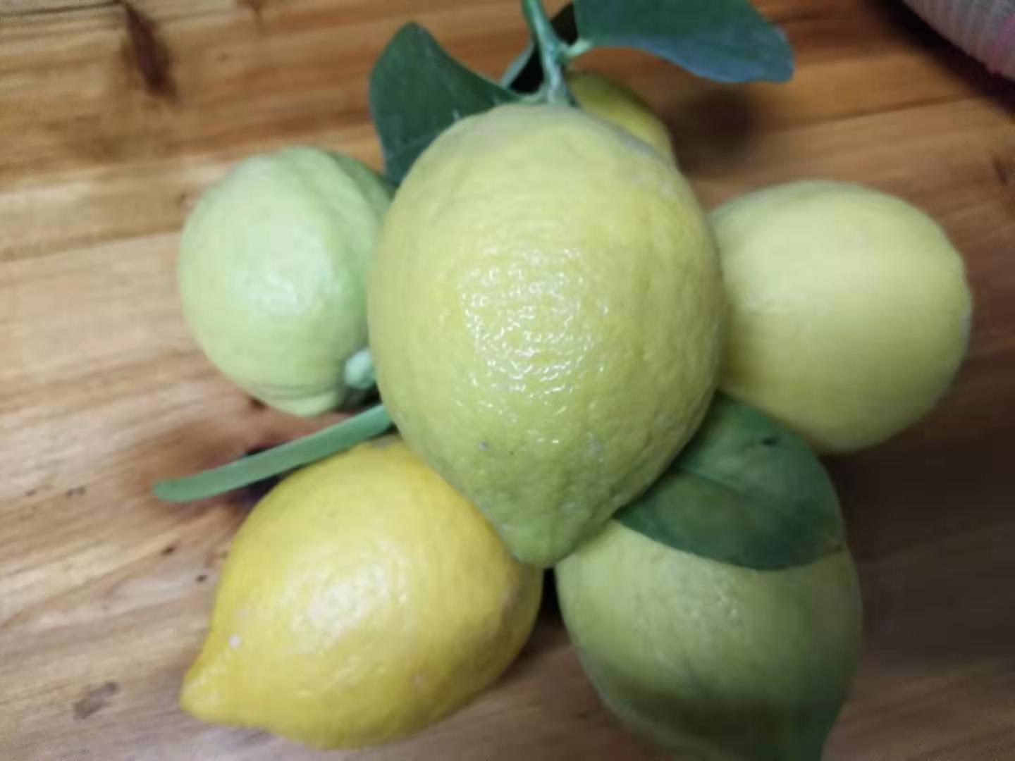 柠檬