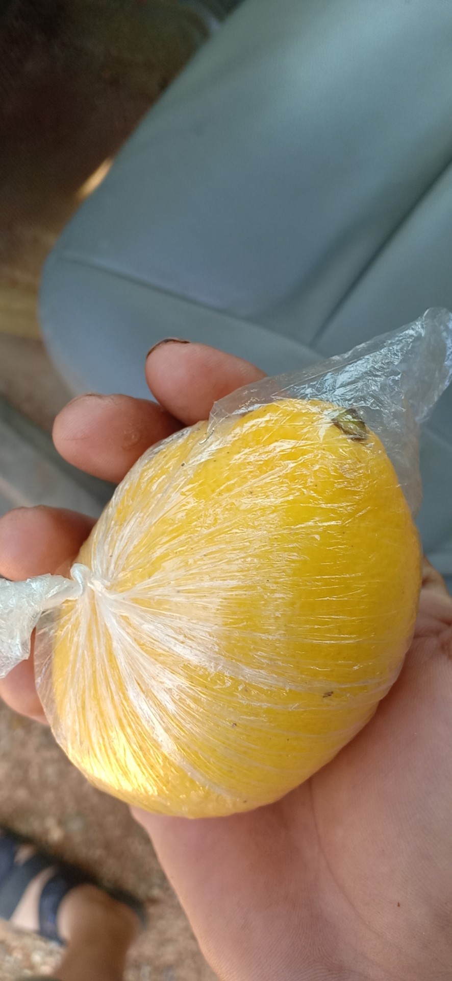 海南柠檬