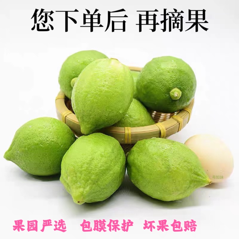 广东香水柠檬
