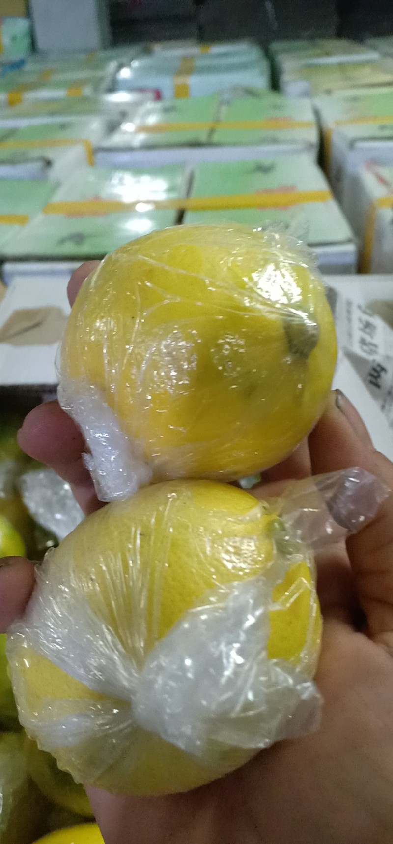 海南黄柠檬，青柠檬