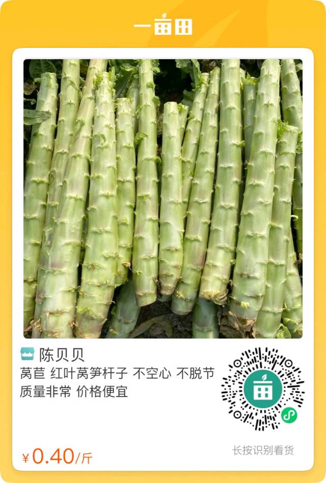 莴苣杆子供应